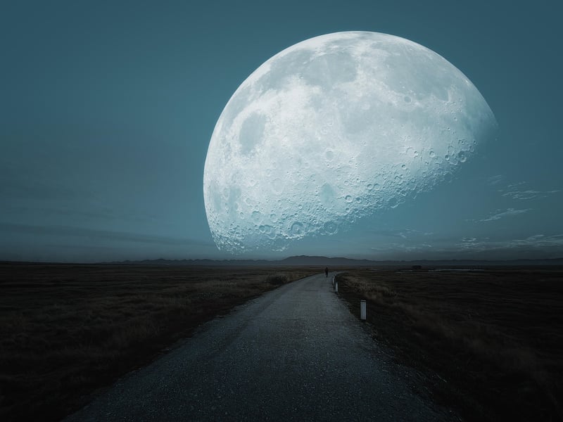 Parallel Realities
